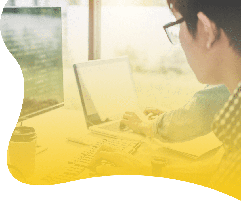 Web System Development